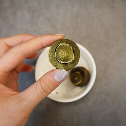 小青柑铁皮石斛茶 20粒入 养胃刮油