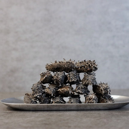 Premium Japan Hokkaido Sea Cucumber, Sea Cucumber, Rich in Protein