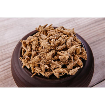 100% Ginseng americano salvaje de Wisconsin de 10 años, una libra