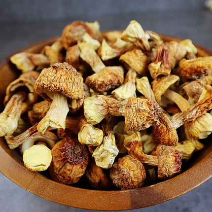 纯天然姬松茸 口感脆煲汤炖肉皆宜