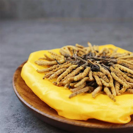 Wild Cordyceps Sinensis Gift Box (6000 pcs Specifications) Approx. 84pcs/0.5oz 