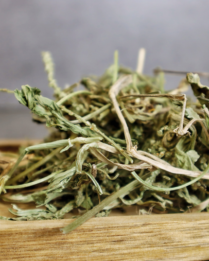 Té de hierbas de hoja de llantén 4oz