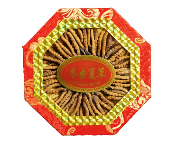 ぶたまさ Wild Cordyceps Sinensis Gift Box (6000 pcs Specifications) Approx