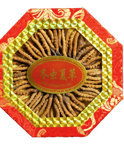 冬虫夏草　6g×15包×4袋 冬虫夏草 6g×15包×4袋 【公式通販】