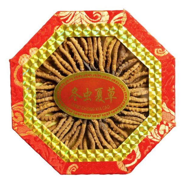 Wild Cordyceps Sinensis Gift Box (6000 pcs Specifications) Approx. 84pcs/0.5oz 
