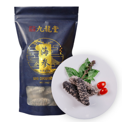 Wild Sea Cucumber - Classic South American Sea Cucumber - Large Size