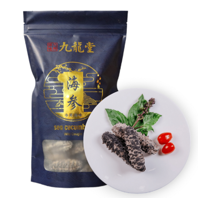 Wild Sea Cucumber - Classic South American Sea Cucumber - Large Size