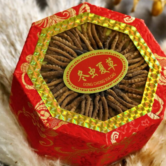 Wild Cordyceps Sinensis Gift Box (6000 pcs Specifications) Approx. 84pcs/0.5oz 