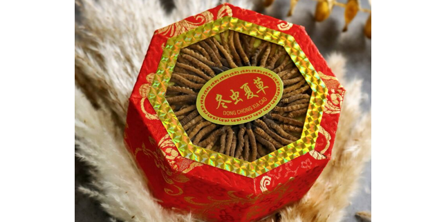Wild Cordyceps Sinensis Gift Box (6000 pcs Specifications) Approx. 84pcs/0.5oz 
