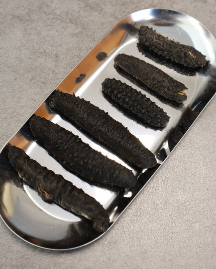 Wild Sea Cucumber Atlantic Spiny Rock Sea Cucumber (Mixed Sizes)