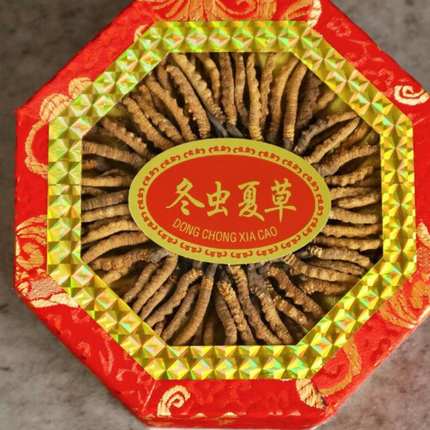 Wild Cordyceps Sinensis Gift Box (6000 pcs Specifications) Approx. 84pcs/0.5oz 