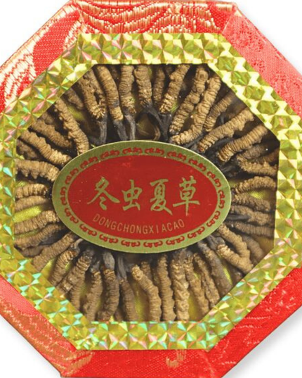 Caja de regalo de Cordyceps salvaje, especificación de 4000 filamentos, aproximadamente 56 filamentos/caja