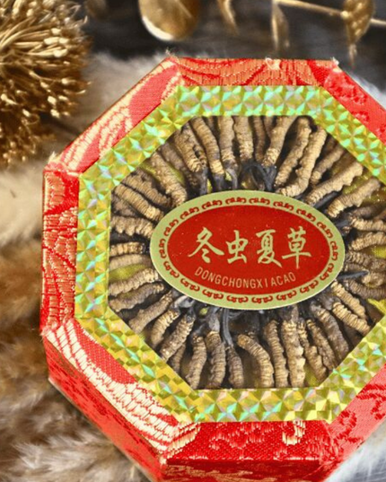 Caja de regalo de Cordyceps salvaje, especificación de 4000 filamentos, aproximadamente 56 filamentos/caja