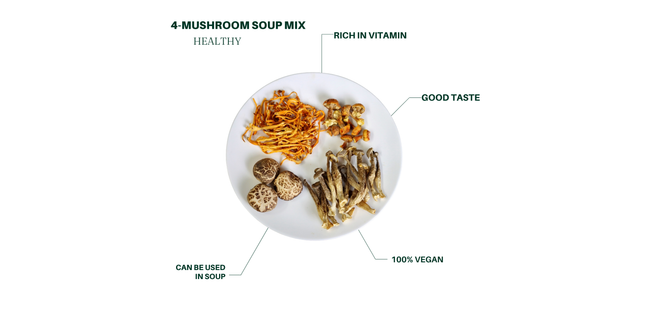 Four Mushroom Soup 70g: Cordyceps Flower, Deer Antler Mushroom, Brazilian Mushroom, Tea Flower Mushroom