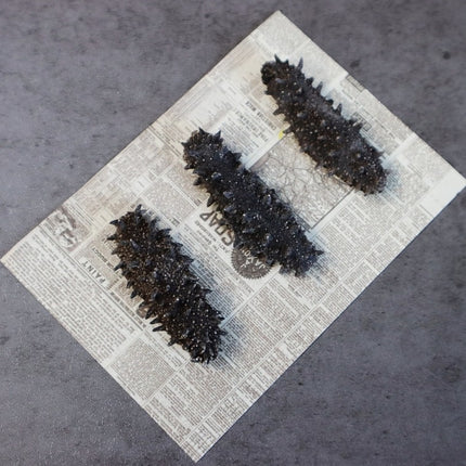 Premium Japan Hokkaido Sea Cucumber, Sea Cucumber, Rich in Protein