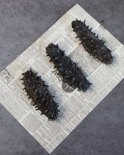 Pepino de mar silvestre, seco, japonés Kanto, espinoso