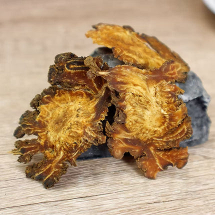 川芎 8oz 活血行气汤料炖品药膳食材