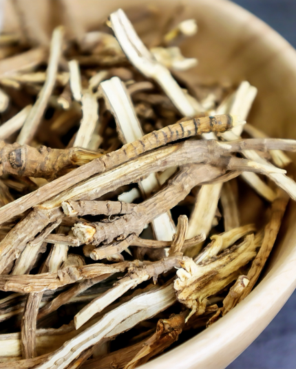 Bupleurum 4oz Lesser Bupleurum, herbal tea, flower tea