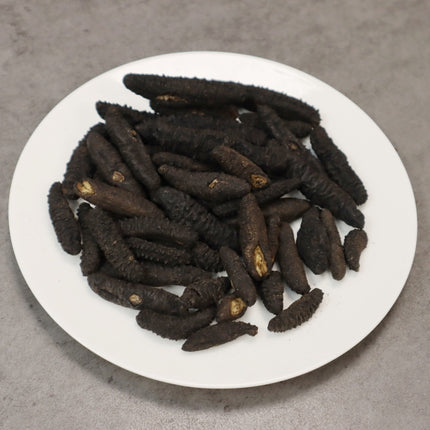 Wild Sea Cucumber Atlantic Spiny Rock Sea Cucumber (Mixed Sizes)
