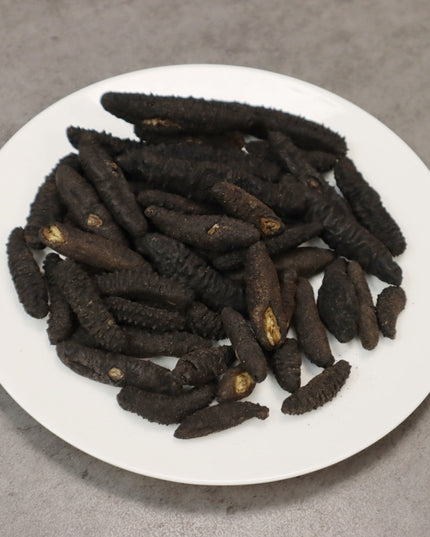 Wild Sea Cucumber Atlantic Spiny Rock Sea Cucumber (Mixed Sizes)