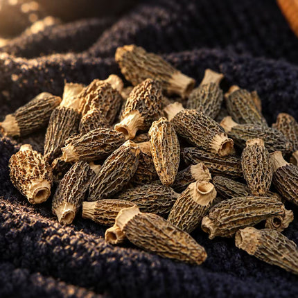 加拿大野生黑羊肚菌 火后山采 浓香耐煮珍菌