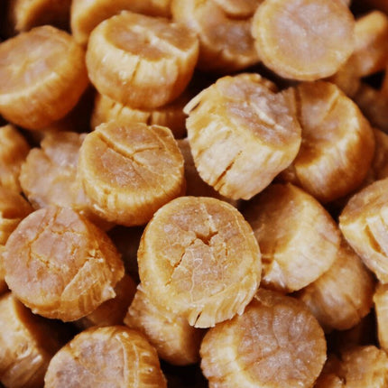 Premium Sweet Hokkaido Dried Scallops, 1 lb, for soup, congee, and XO sauce