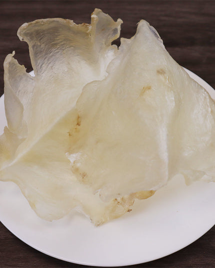 Wild South American Butterfly Fish Maw (Extra Large) 1 lb, approx. 6-8 pieces