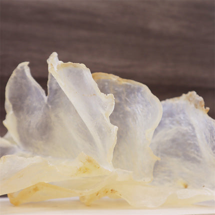 野生南美蝴蝶胶 鱼胶(特大号)一磅装 6-8片左右 煲汤圣品花胶
