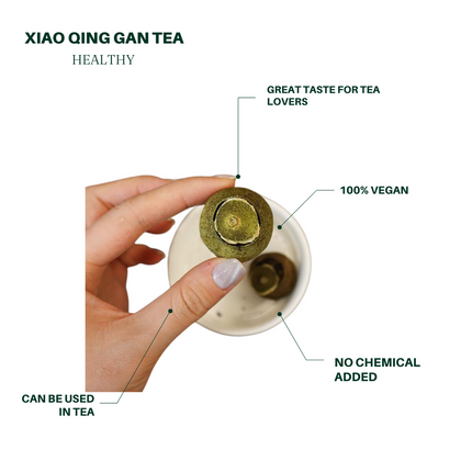 小青柑铁皮石斛茶 20粒入 养胃刮油