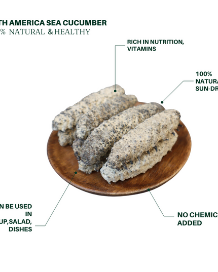 Wild Sea Cucumber - Classic South American Sea Cucumber - Large Size