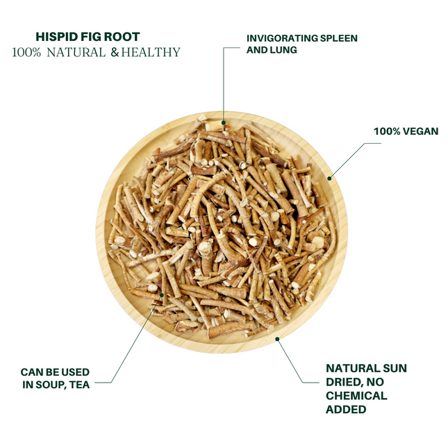 Natural Hispid Fig Root Herb for Soup (Dried) 340g