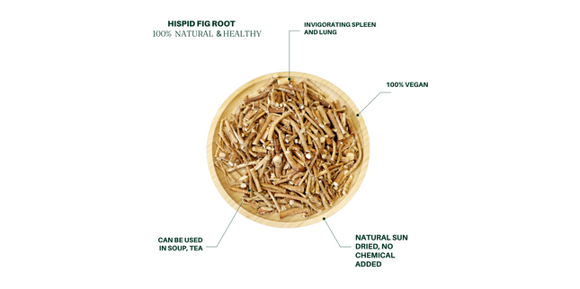 Natural Hispid Fig Root Herb for Soup (Dried) 340g