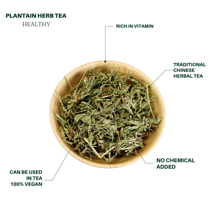 Té de hierbas de hoja de llantén 4oz