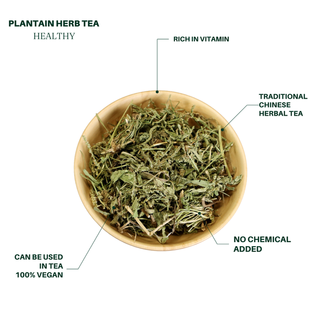 车前草 4oz 养生茶 花草茶
