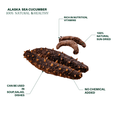 Extra Large Wild Sun-Dried American Alaska Red Sea Cucumber