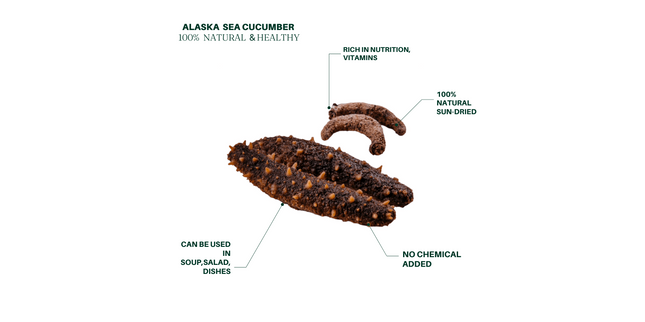 Extra Large Wild Sun-Dried American Alaska Red Sea Cucumber