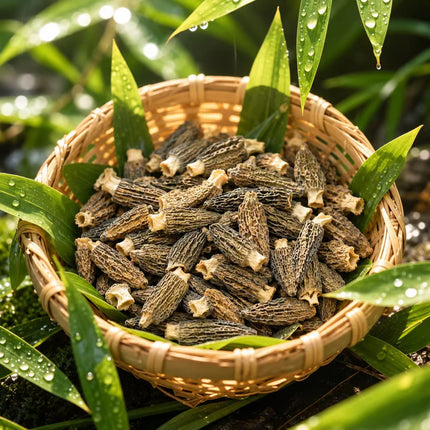 加拿大野生黑羊肚菌 火后山采 浓香耐煮珍菌